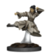 D&D Icons of the Realms Premium Figures: Human Monk Female (6 Units)