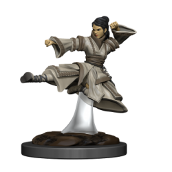 D&D Icons of the Realms Premium Figures: Human Monk Female (6 Units)