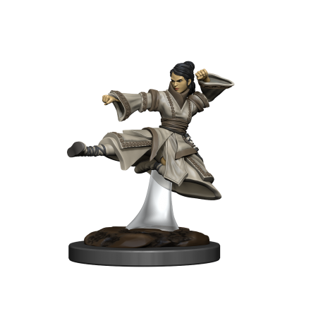 D&D Icons of the Realms Premium Figures: Human Monk Female (6 Units)