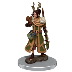 D&D Icons of the Realms Premium Figures: Female Human Druid (6 Units)