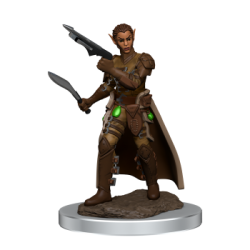 D&D Icons of the Realms Premium Figures: Female Shifter Rogue (6 Units)