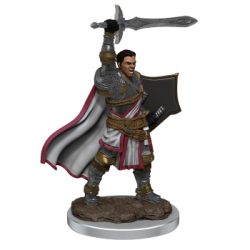 D&D Icons of the Realms Premium Figures: Male Human Paladin (6 Units)