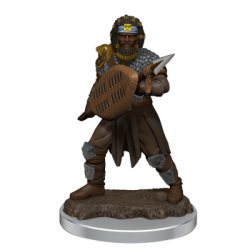 D&D Icons of the Realms Premium Figures: Male Human Fighter (6 Units)