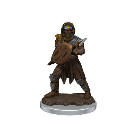 D&D Icons of the Realms Premium Figures: Male Human Fighter (6 Units)