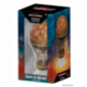 D&D Icons of the Realms Miniatures: The Wild Beyond the Witchlight Premium Set 2 (Set 20) - EN