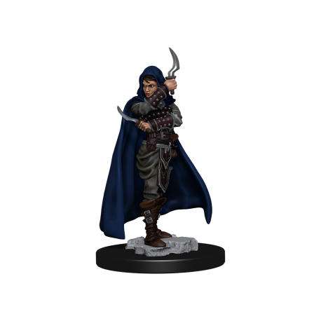Pathfinder Battles: Premium Painted Figure - Human Rogue Female (6 Units) - EN