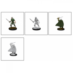 Pathfinder Battles Deep Cuts Unpainted Miniatures - Elf Fighter Male (6 Units)