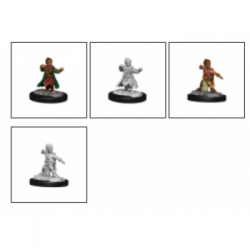 Pathfinder Deep Cuts: Halfing Monk Male (2 Units) - EN
