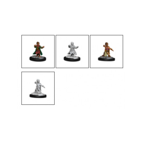 Pathfinder Deep Cuts: Halfing Monk Male (2 Units) - EN