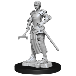 WizKids Deep Cuts Unpainted Miniatures - Towns People: Castle II