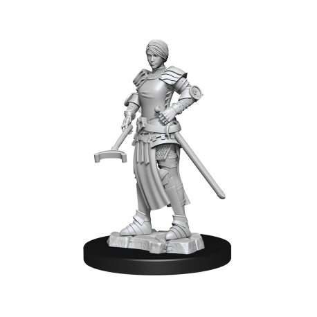 WizKids Deep Cuts Unpainted Miniatures - Towns People: Castle II