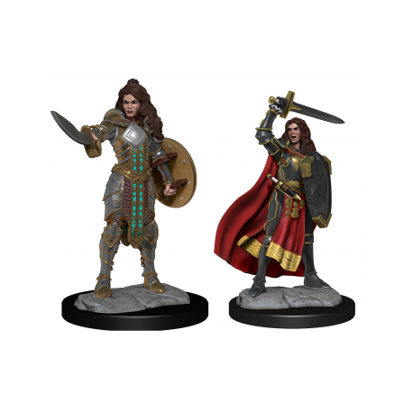 Pathfinder Deepcuts: Human Champion Female (2 Units)