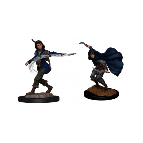 Pathfinder Deepcuts: Human Rogue Female (2 Units)