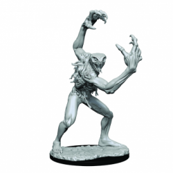Critical Role Unpainted Miniatures: Aeorian Nullifier&nbsp;&nbsp;(2 Units)