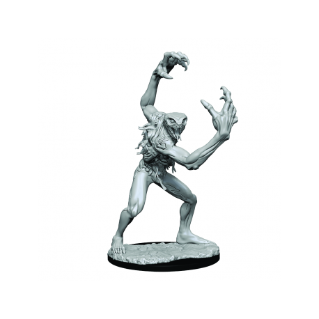 Critical Role Unpainted Miniatures: Aeorian Nullifier&nbsp;&nbsp;(2 Units)