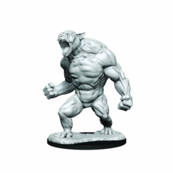 Critical Role Unpainted Miniatures: Aeorian Reverser&nbsp; (2 Units)