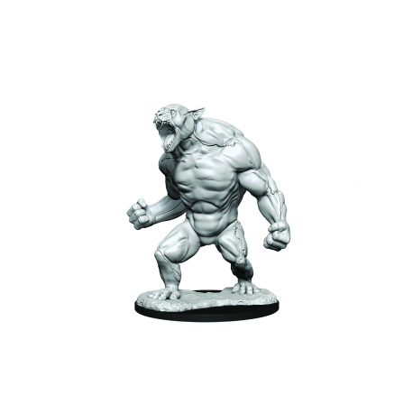 Critical Role Unpainted Miniatures: Aeorian Reverser&nbsp; (2 Units)