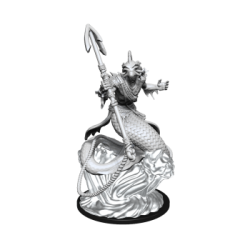 Critical Role Unpainted Miniatures: Shallowpriest&nbsp; (2 Units)