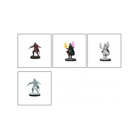Critical Role Unpainted Miniatures: Hollow One Rogue and Sorceror Male&nbsp; (2 Units)