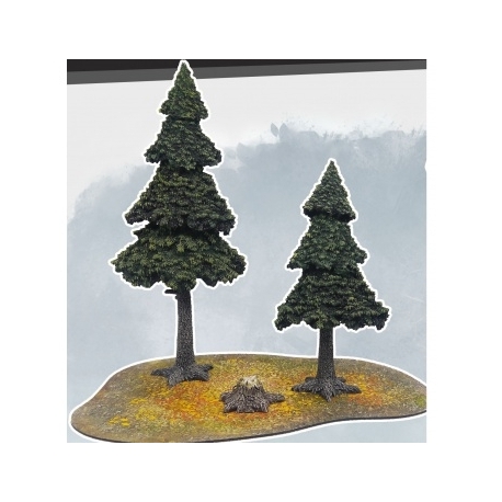 MFF - Evergreen Pine Forest