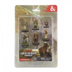 D&D Icons of the Realms - Starter Set