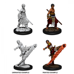 D&D Nolzur's Marvelous Miniatures - Male Half-Elf Monk (6 Units)