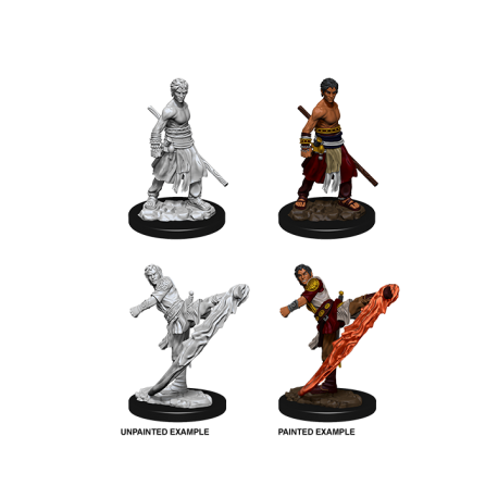 D&D Nolzur's Marvelous Miniatures - Male Half-Elf Monk (6 Units)