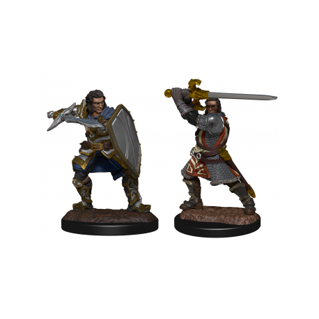 D&D Nolzur's Marvelous Miniatures: Human Paladin Male (2)