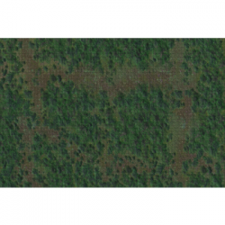 D&D Icons of the Realms: Forest Battle Mat