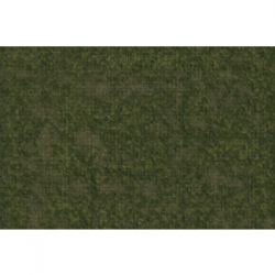 D&D Icons of the Realms: Grasslands Battle Mat