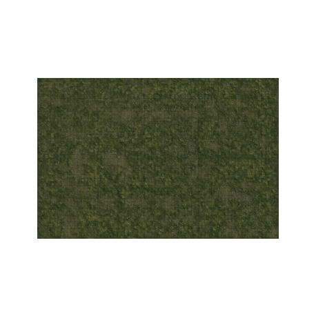 D&D Icons of the Realms: Grasslands Battle Mat