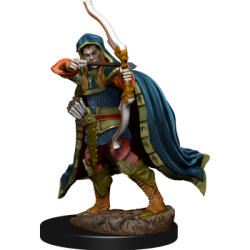 D&D Icons of the Realms Premium Figures: Elf Rogue Male (6 Units)