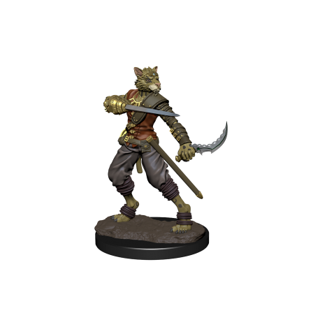 D&D Icons of the Realms Premium Figures: Tabaxi Rogue Male (6 Units)