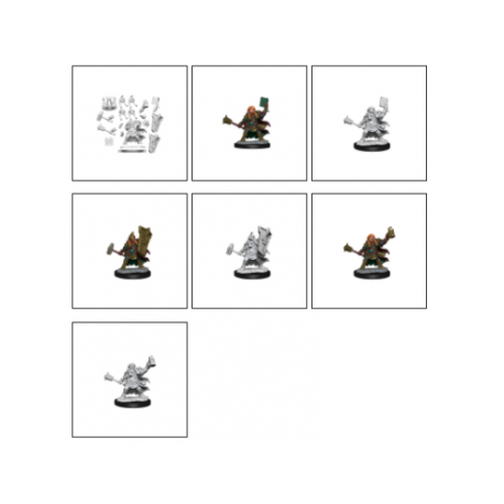 D&D Frameworks: Dwarf Cleric Female&nbsp;&nbsp;(6)