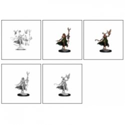 D&D Frameworks: Human Druid Female&nbsp;(6)