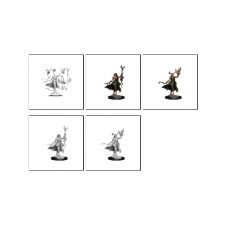 D&D Frameworks: Human Druid Female&nbsp;(6)