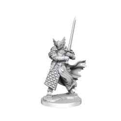 D&D Frameworks: Dragonborn Paladin Male&nbsp;&nbsp;(6)