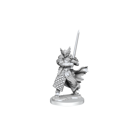 D&D Frameworks: Dragonborn Paladin Male&nbsp;&nbsp;(6)