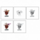D&D Frameworks: Beholder&nbsp;&nbsp;