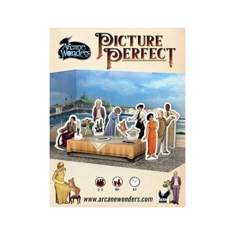 Picture Perfect (Inglés)