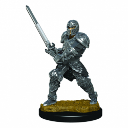 D&D Icons of the Realms Premium Figures: Male Human Fighter (6 Units)