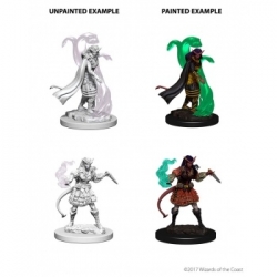 D&D Nolzur's Marvelous Miniatures - Tiefling Female Sorcerer (6 Units)