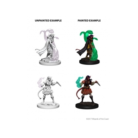 D&D Nolzur's Marvelous Miniatures - Tiefling Female Sorcerer (6 Units)