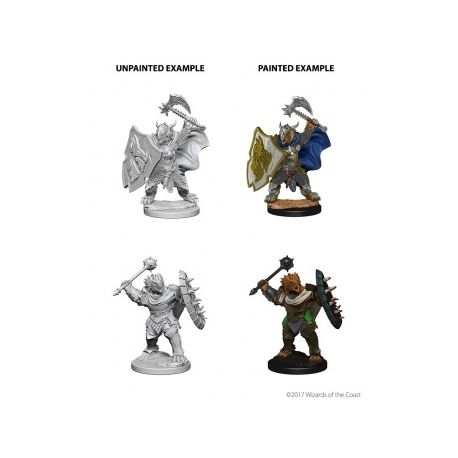 D&D Nolzur's Marvelous Miniatures - Dragonborn Male Paladin (6 Units)