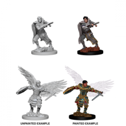 D&D Nolzur's Marvelous Miniatures: Male Aasimar Fighter (6 Units)
