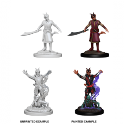 D&D Nolzur's Marvelous Miniatures: Male Tiefling Warlock (6 Units)