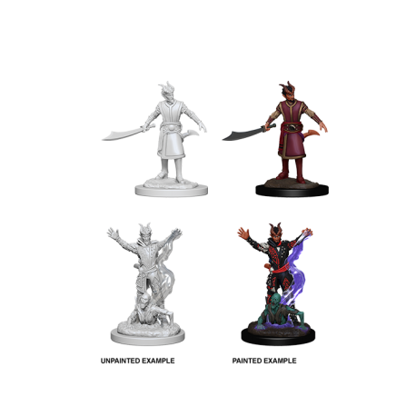 D&D Nolzur's Marvelous Miniatures: Male Tiefling Warlock (6 Units)