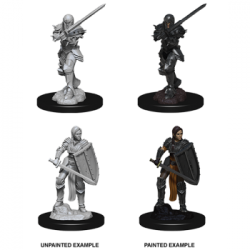 D&D Nolzur's Marvelous Miniatures - Female Human Fighter (6 Units)