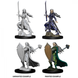 D&D Nolzur's Marvelous Miniatures - Female Elf Paladin (6 Units)