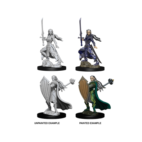 D&D Nolzur's Marvelous Miniatures - Female Elf Paladin (6 Units)